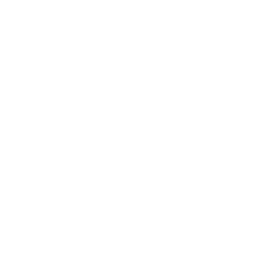 logo shopify plus